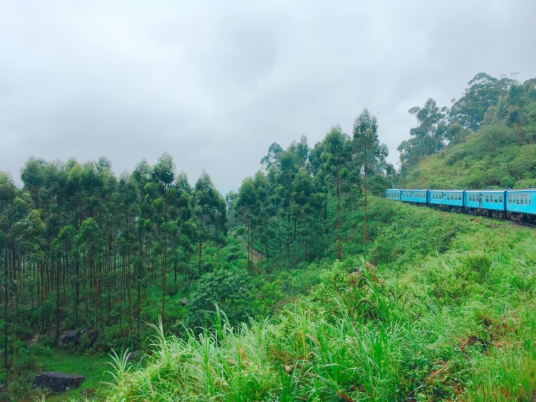 スリランカの紅茶鉄道
