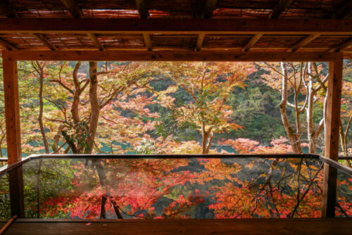 祐斎亭　夢の水鏡