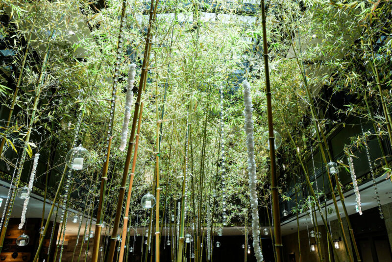 京都悠洛ホテル Mギャラリーの竹林