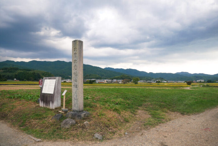 世界遺産 大官大寺跡